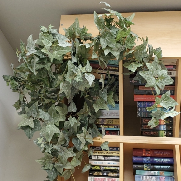 Artificial ivy - Picture 8 of 8